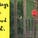 50 Things I’ve Learned at 50